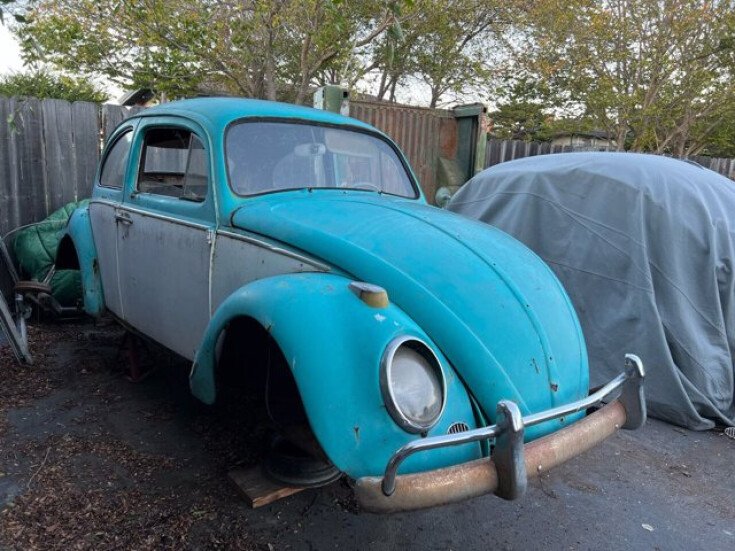 Photo for 1962 Volkswagen Beetle